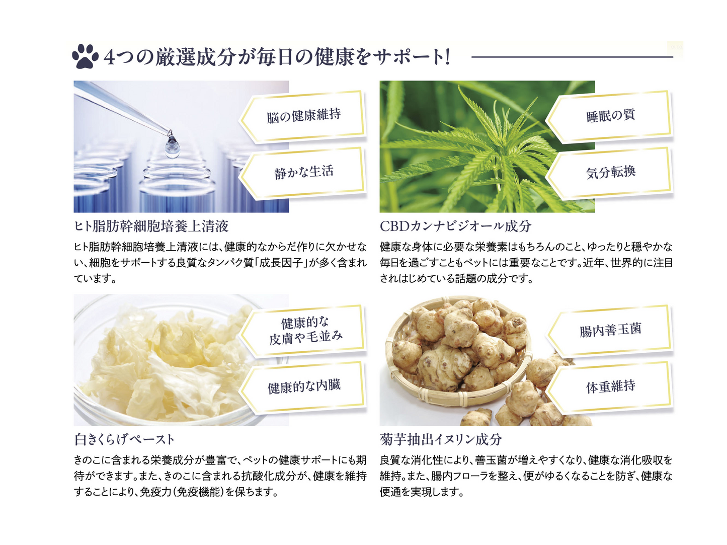 【少しお得 10%OFF】Relife One PLUS /2箱セット