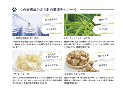 【少しお得 10%OFF】Relife One PLUS /2箱セット