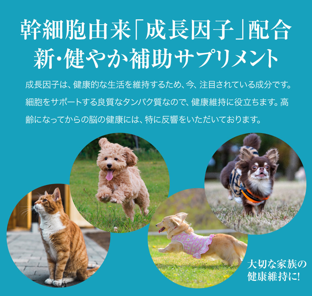 公式】Dr.ST RelifeOne(リライフ・ワン) サプリメント 犬 猫 動物 獣医